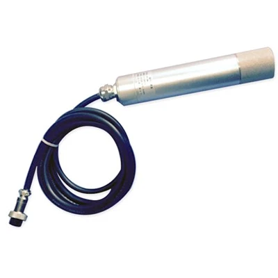 RY-CH2S Wasserdichter RS485-Wandmontierter H2s-Gasanalysator H2s-Gasdetektorsensor Schwefelwasserstoffsensor